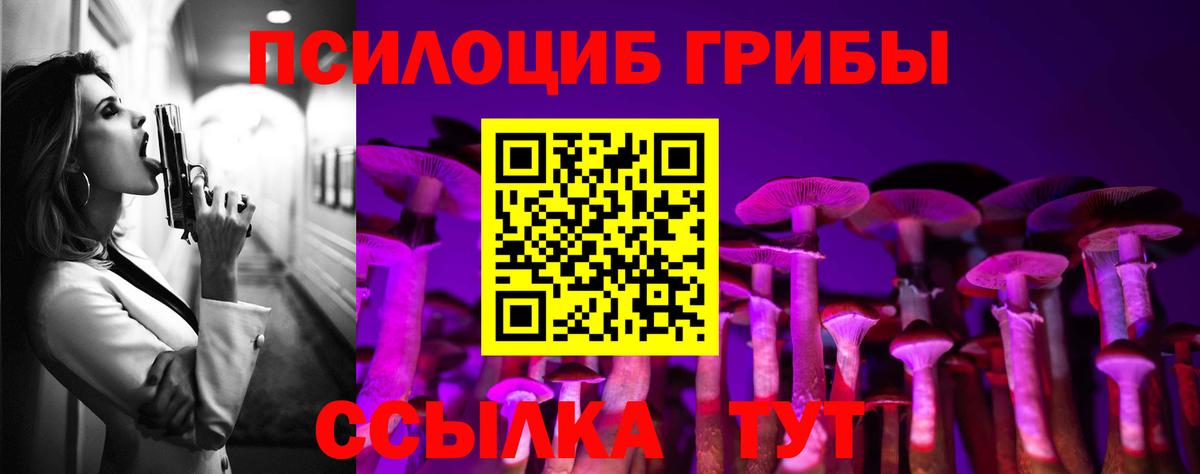 дарнет шоп  Галлюциногенные грибы MAGIC MUSHROOMS  Вход с VPN  Апатиты 