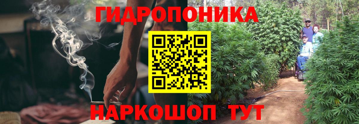 Шишки марихуана марихуана  Канабис сатива  Апатиты  Марихуана сатива  Вход с VPN 